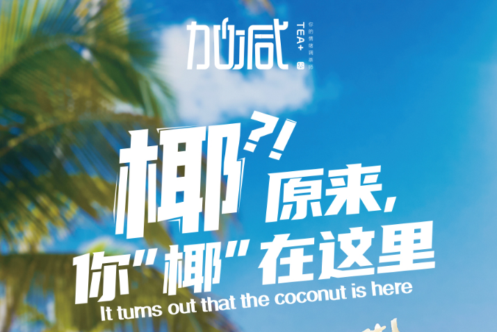 球信网椰子系列新品火爆上市